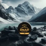 Le meilleur shilajit 2026