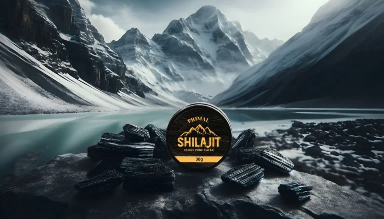 Le meilleur shilajit 2026