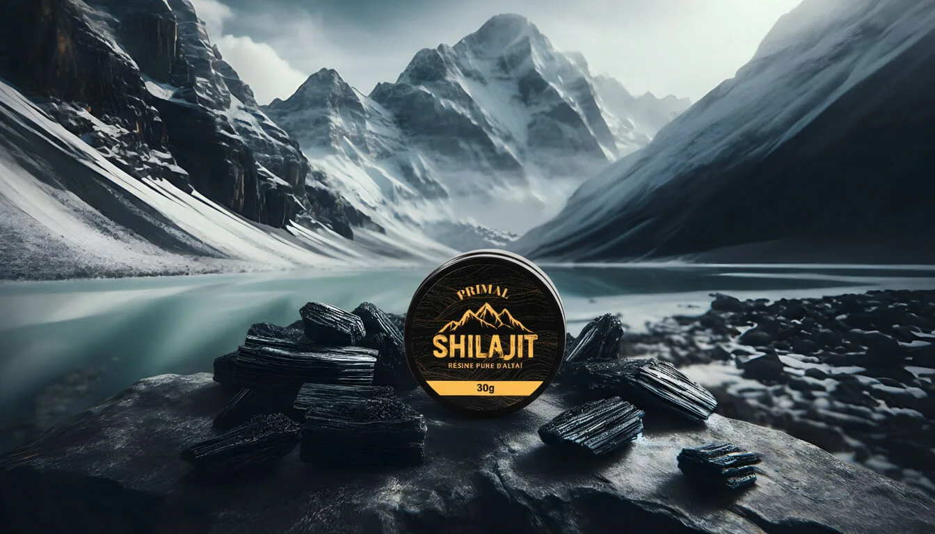 Le meilleur shilajit 2026