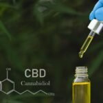 CBD Cannibidiol