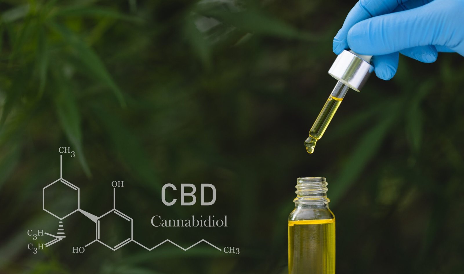 CBD Cannibidiol