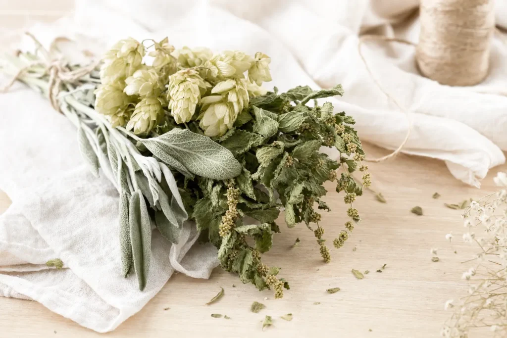 Plantes phytothérapie pour équilibre hormonal femme